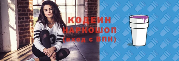 мдпв Козельск