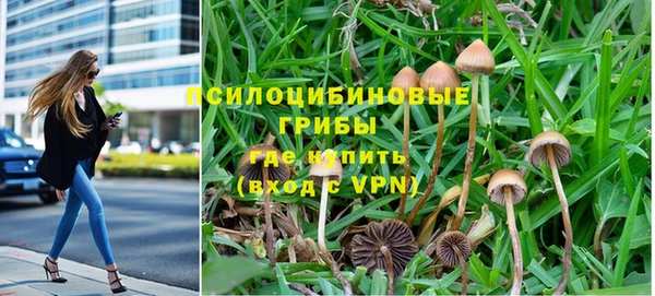 СК Киреевск