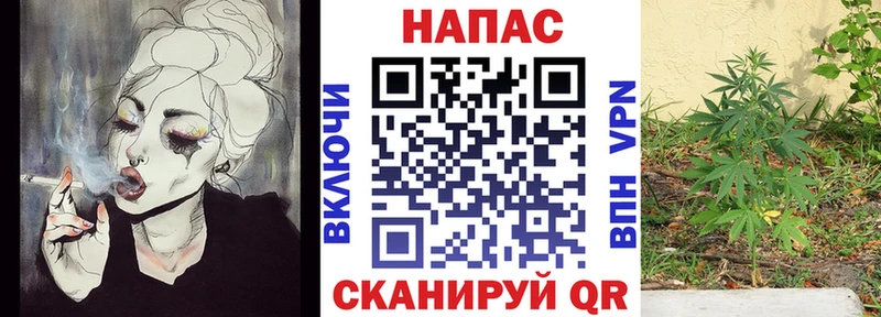 Купить где  Грайворон  Конопля White Widow 